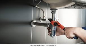 Best Plumbing System Maintenance  in Mendota Heights, MN